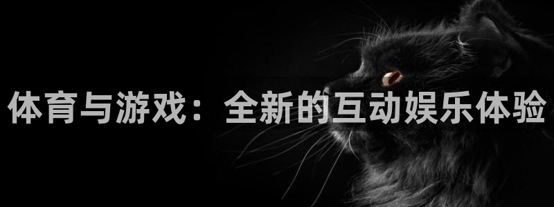 体育与游戏：全新的互动娱乐体验
