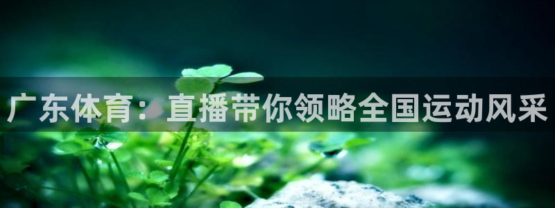 广东体育：直播带你领略全国运动风采
