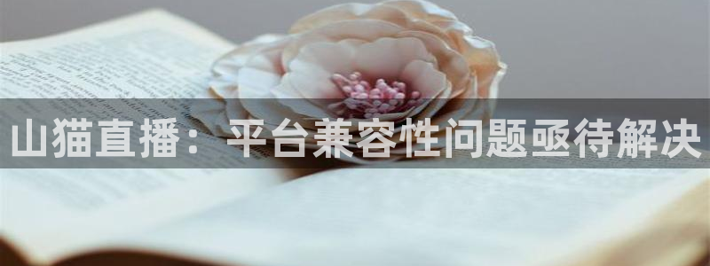 山猫直播：平台兼容性问题亟待解决