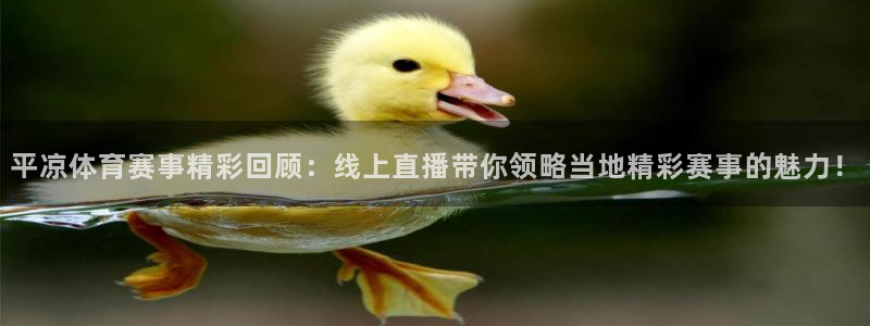 平凉体育赛事精彩回顾：线上直播带你领略当地精彩赛事的魅力！