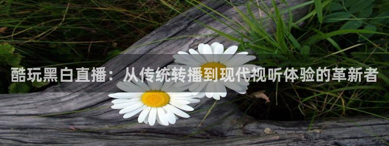 酷玩黑白直播：从传统转播到现代视听体验的革新者
