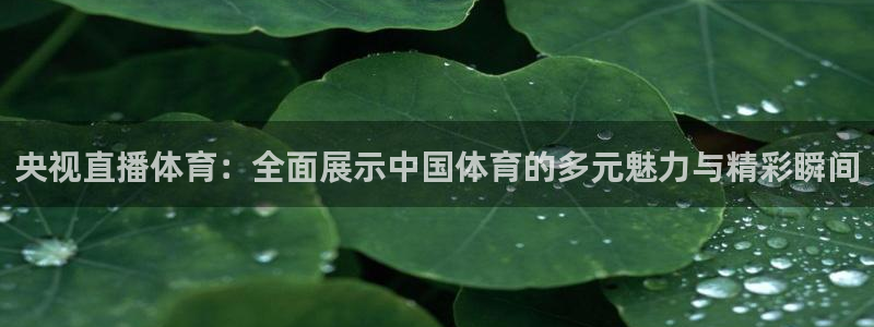 央视直播体育：全面展示中国体育的多元魅力与精彩瞬间