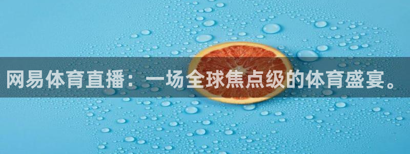 网易体育直播：一场全球焦点级的体育盛宴。