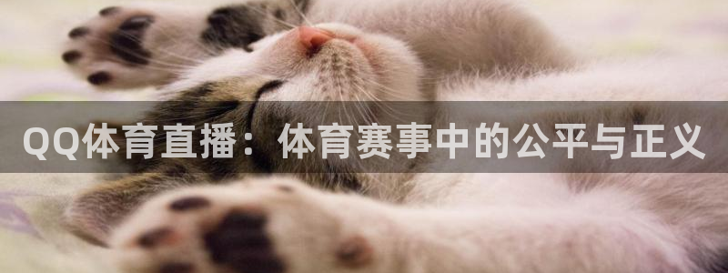 QQ体育直播：体育赛事中的公平与正义
