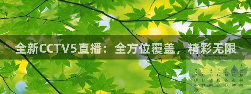 全新CCTV5直播：全方位覆盖，精彩无限