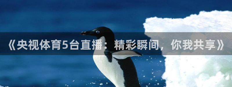 《央视体育5台直播：精彩瞬间，你我共享》