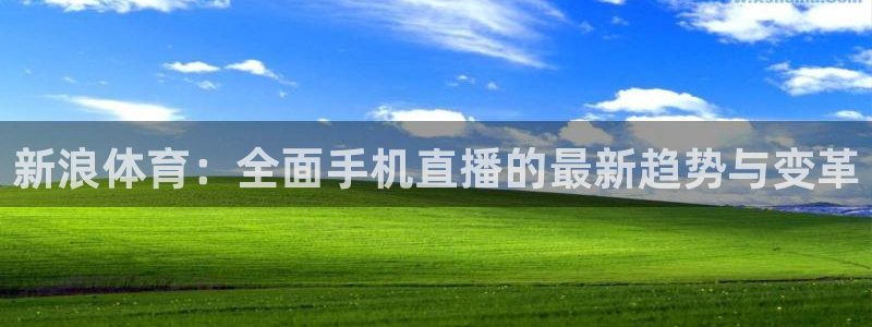 新浪体育：全面手机直播的最新趋势与变革