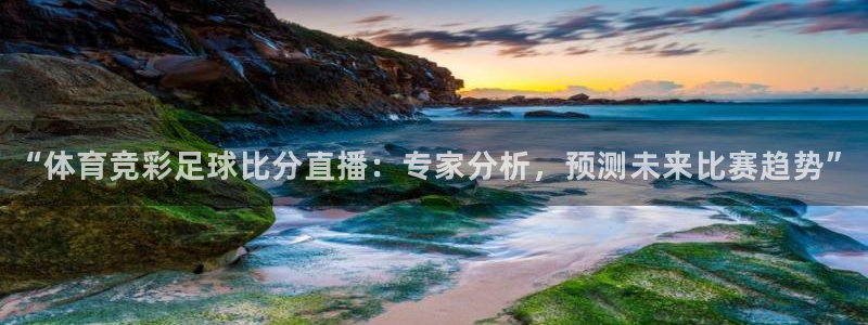 “体育竞彩足球比分直播：专家分析，预测未来比赛趋势”