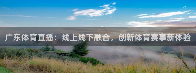 广东体育直播：线上线下融合，创新体育赛事新体验