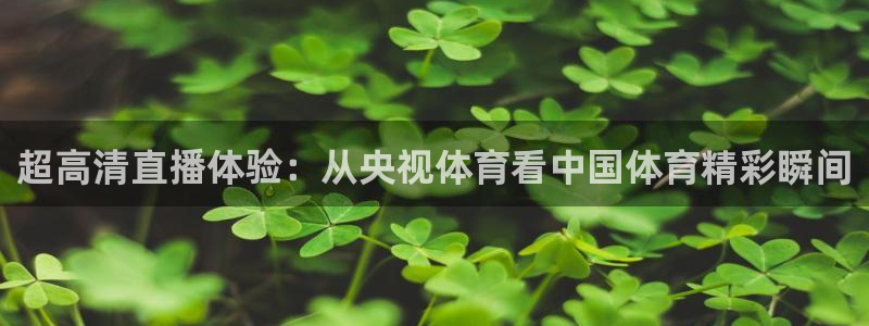 超高清直播体验：从央视体育看中国体育精彩瞬间