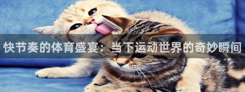快节奏的体育盛宴：当下运动世界的奇妙瞬间