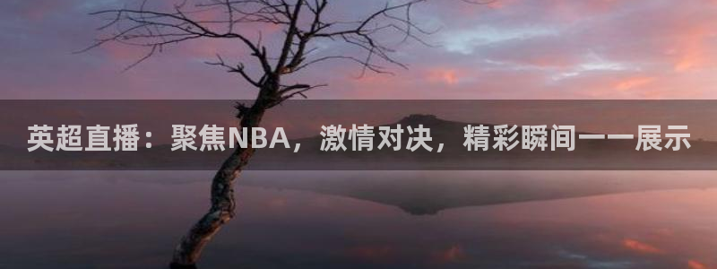 英超直播：聚焦NBA，激情对决，精彩瞬间一一展示