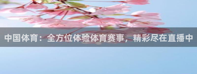 中国体育：全方位体验体育赛事，精彩尽在直播中