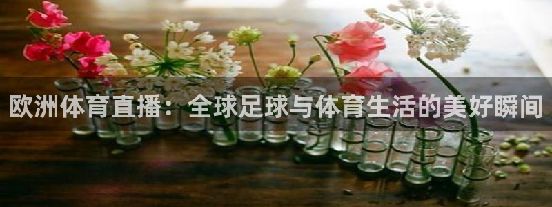 欧洲体育直播：全球足球与体育生活的美好瞬间