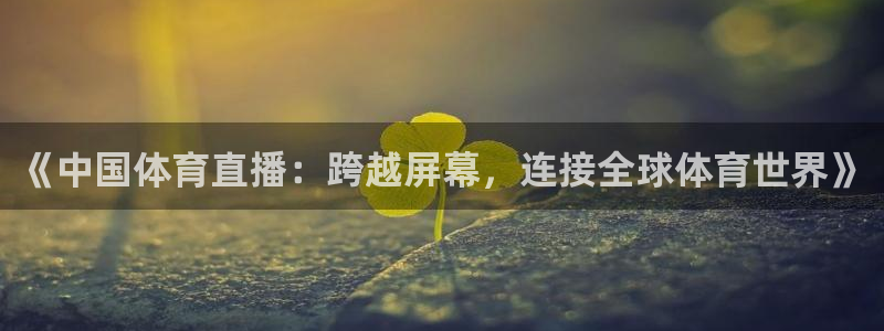 《中国体育直播：跨越屏幕，连接全球体育世界》