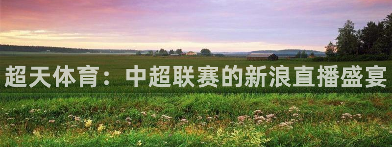超天体育：中超联赛的新浪直播盛宴
