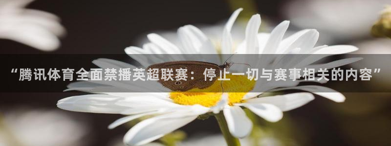 “腾讯体育全面禁播英超联赛：停止一切与赛事相关的内容”