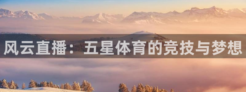 风云直播：五星体育的竞技与梦想