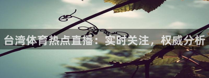 台湾体育热点直播：实时关注，权威分析