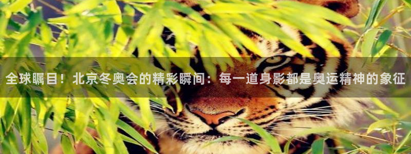 全球瞩目！北京冬奥会的精彩瞬间：每一道身影都是奥运精神的象征