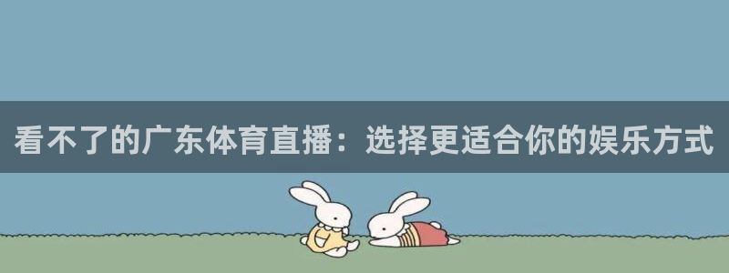 看不了的广东体育直播：选择更适合你的娱乐方式