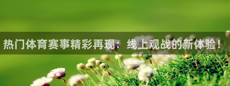 热门体育赛事精彩再现：线上观战的新体验！