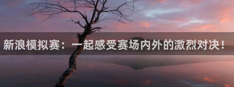 新浪模拟赛：一起感受赛场内外的激烈对决！