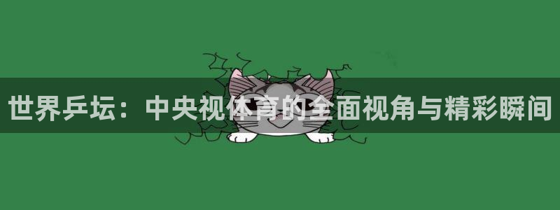 世界乒坛：中央视体育的全面视角与精彩瞬间