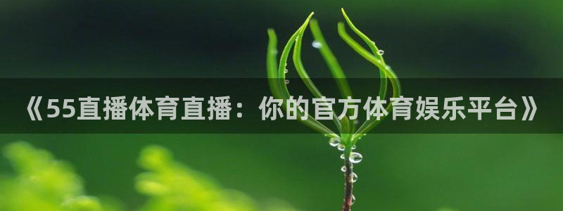 《55直播体育直播：你的官方体育娱乐平台》