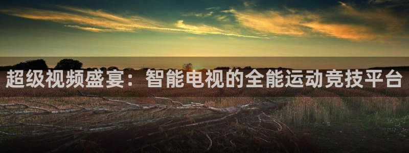 超级视频盛宴：智能电视的全能运动竞技平台