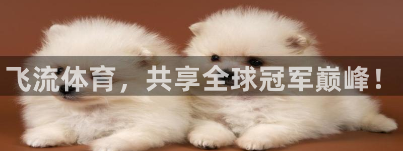 飞流体育，共享全球冠军巅峰！