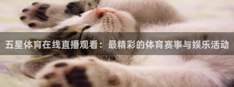 五星体育在线直播观看：最精彩的体育赛事与娱乐活动
