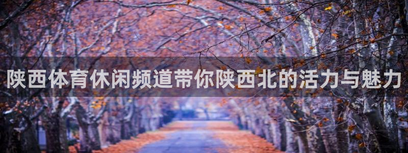 陕西体育休闲频道带你陕西北的活力与魅力