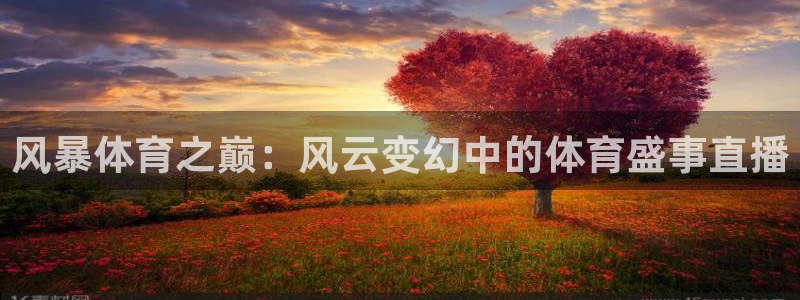 风暴体育之巅：风云变幻中的体育盛事直播