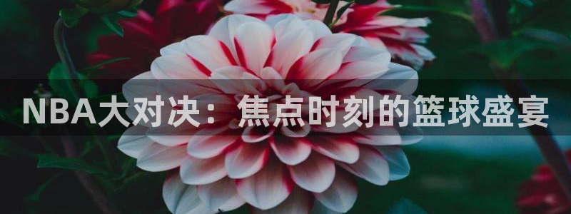 NBA大对决：焦点时刻的篮球盛宴