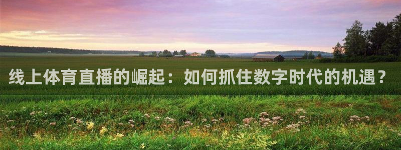 线上体育直播的崛起：如何抓住数字时代的机遇？