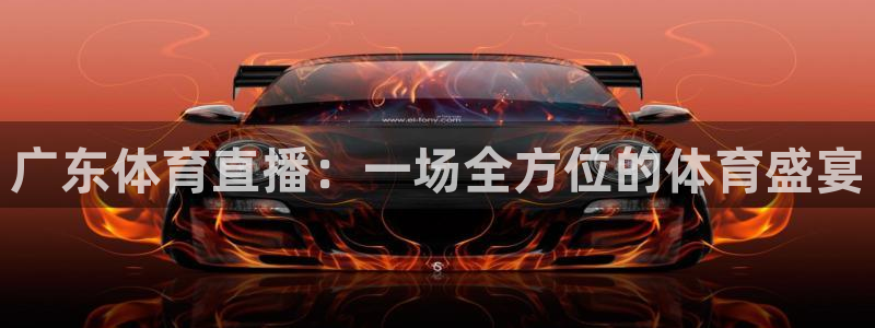 广东体育直播：一场全方位的体育盛宴